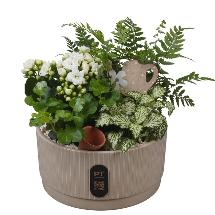 <h4>5119 KER BEIGE LAAG</h4>