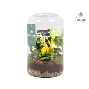 Green Bottle Isabella Medium Pasen met Arrangement