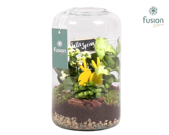 <h4>Green Bottle Isabella Medium Pasen met Arrangement</h4>