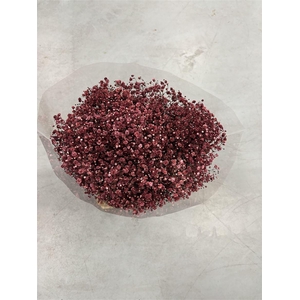 Gyps Xlence Burgundy Red X25 40gr