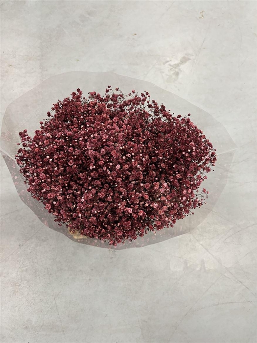 <h4>Gyps Xlence Burgundy Red X25 40gr</h4>