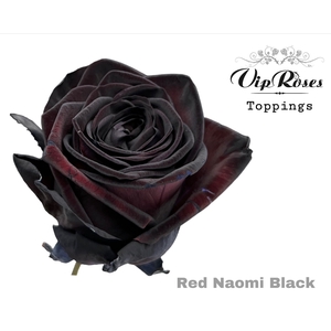 R Gr Vip Red Naomi Black