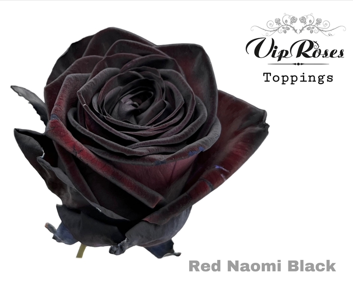 R GR RED NAOMI BLACK