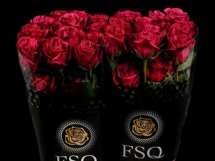 <h4>R GR Roseberry</h4>