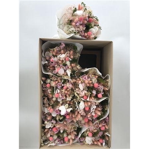 Dr Bqt Farfalla White/pink