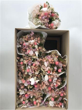 Dr Bqt Farfalla White/pink