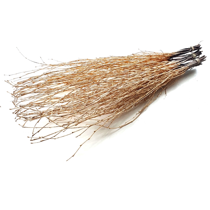 <h4>Birch 70cm 10stems per bunch Antique Gold + Glitter</h4>