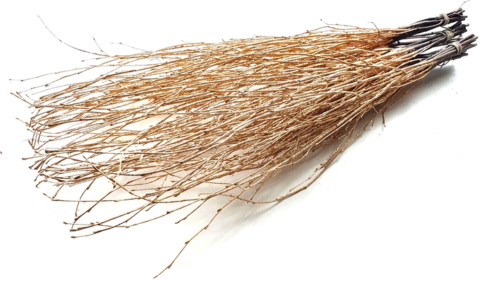 <h4>Birch 70cm 10stems Per Bunch Antique Gold + Glitte</h4>