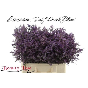 LIM SAF DARK BLUE