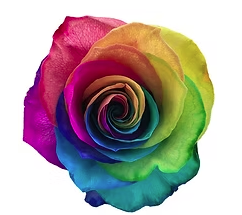 R GR TINTED RAINBOW