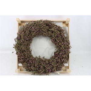 Wr Thym Naturel 55cm