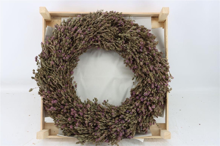 <h4>Wr Thym Naturel 55cm</h4>