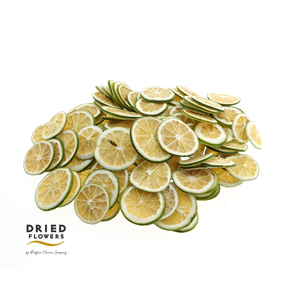 Dried Deco Lime Slices