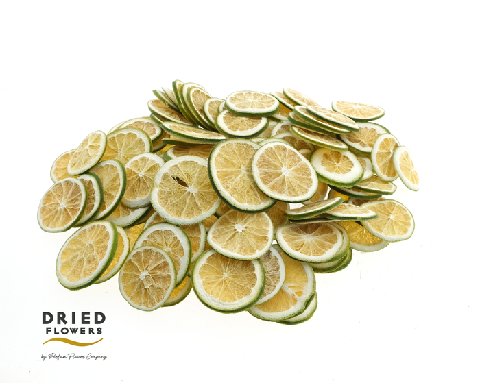 <h4>Dried Deco Lime Slices</h4>