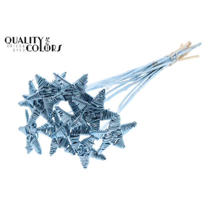 <h4>Lata Star on stem Metallic Blue</h4>