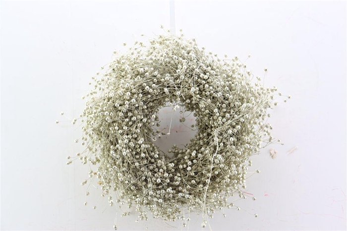 <h4>Wr Vlas 30cm Platina</h4>