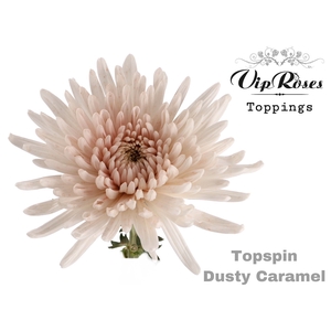 Chr G Vip Topspin Dusty Caramel