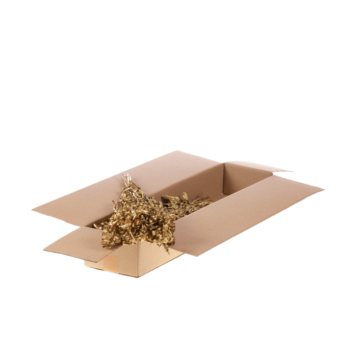 <h4>Bidens Gold Sb</h4>