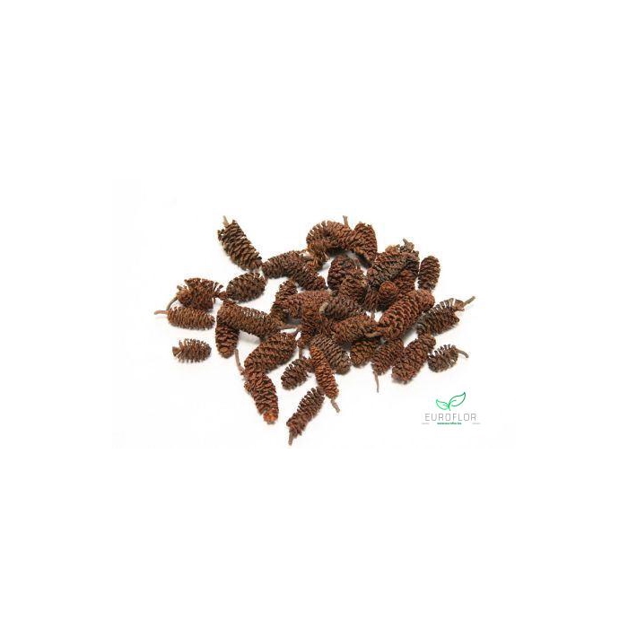 <h4>PINECONE BIRCH 300GR</h4>