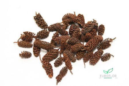 PINECONE BIRCH 300GR