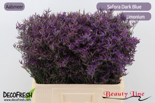 <h4>Limonium Safora Dark Blue</h4>