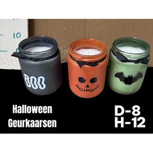 HUIS EN TUINDECO H%