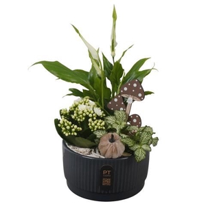 PTHI3213 Arrangement Autumn Indoor in keramiek schaal