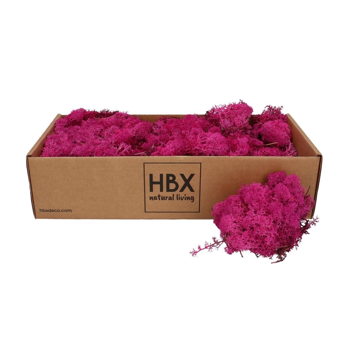 <h4>Preserved Rendiermos 400-500g</h4>