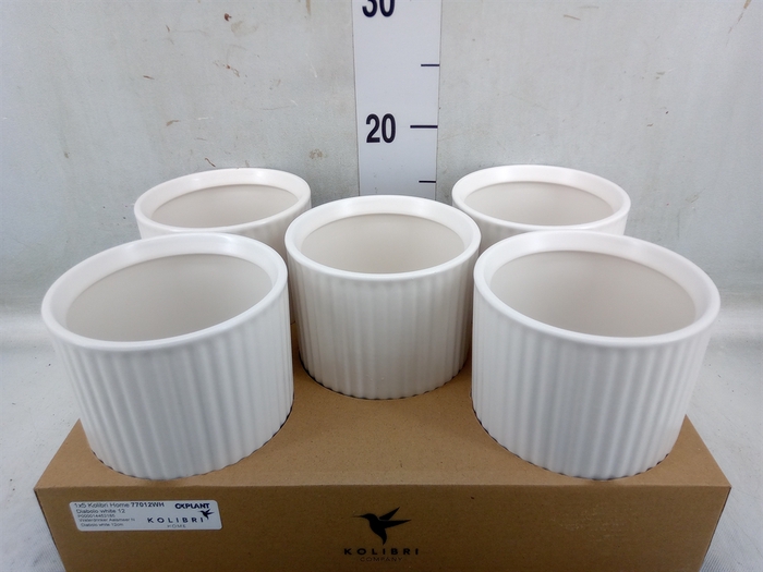 <h4>Pot   ...Keramische H%</h4>
