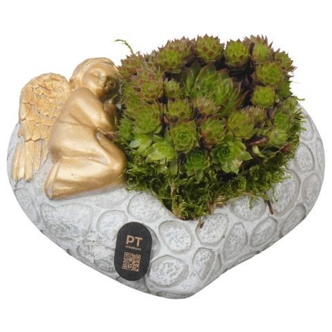 <h4>PTAH3020 Arrangement Allerheiligen in beton hart pot</h4>