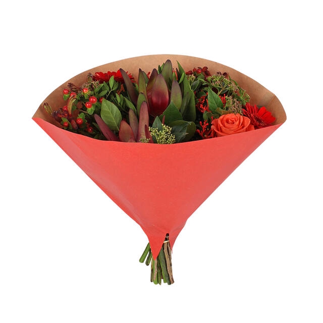 <h4>Hoes 35x35cm Angelo 70gr br kraft outside rood 500/doos</h4>