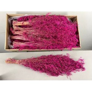 DF Munni Grass 70cm 100g Pink