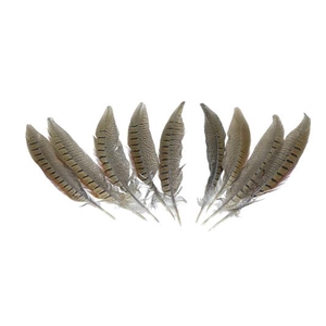 Feather Pheasant 20-25cm