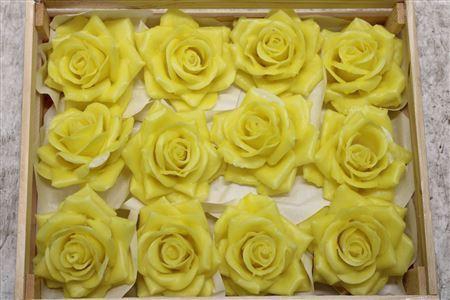 <h4>Wax Roos Geel</h4>