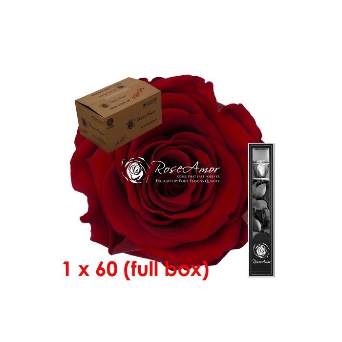 <h4>30cm Stem Red01 Bulk</h4>