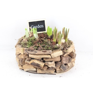 arr4 Bollenmix JS - Hout latjes ovaal x3