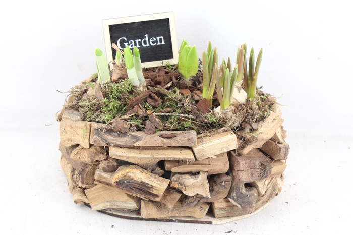 <h4>arr4 Bollenmix JS - Hout latjes ovaal x3</h4>