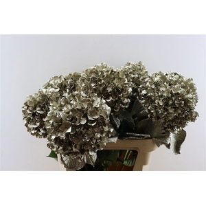 Hydr Kbh Platina Stem
