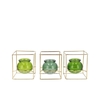 Polly Fresh Green Mix Metal Rack Square Glass Ass 11x11x13cm