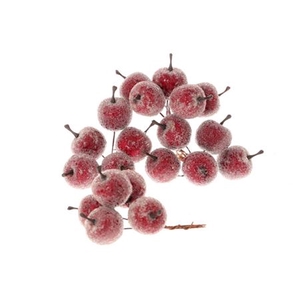 STEM APPLE 20 PCS L10D3 PER DOOS RED 20 STUKS