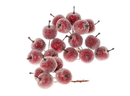 <h4>STEM APPLE 20 PCS L10D3 PER DOOS RED 20 STUKS</h4>