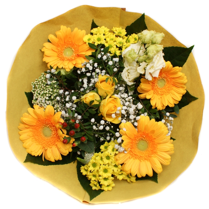 <h4>202275 Geel</h4>