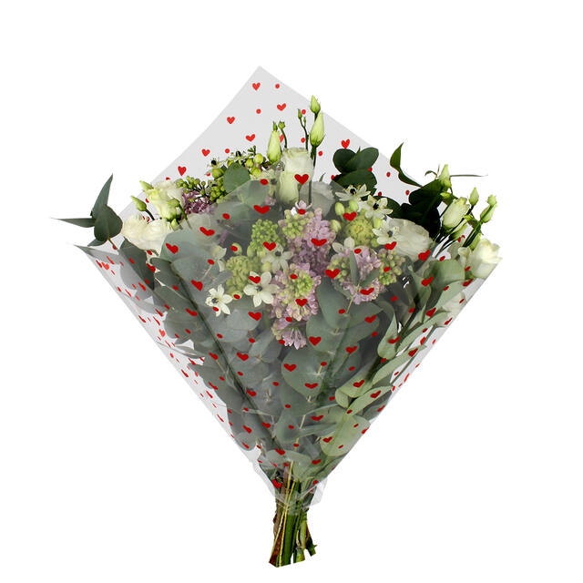 <h4>Hoes 35x35cm Quadra OPP35 Density of Love 1500/doos</h4>