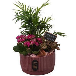 PTIB5109 Arrangement Indoor in keramiek schaal