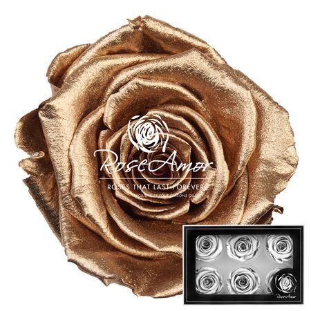 <h4>L Metallic Gold</h4>