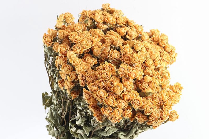 Roses Spray Yellow Natural