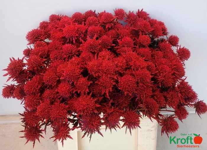 <h4>ERYN A OV KLB H%</h4>