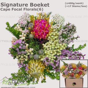 PROTEA PER BOS