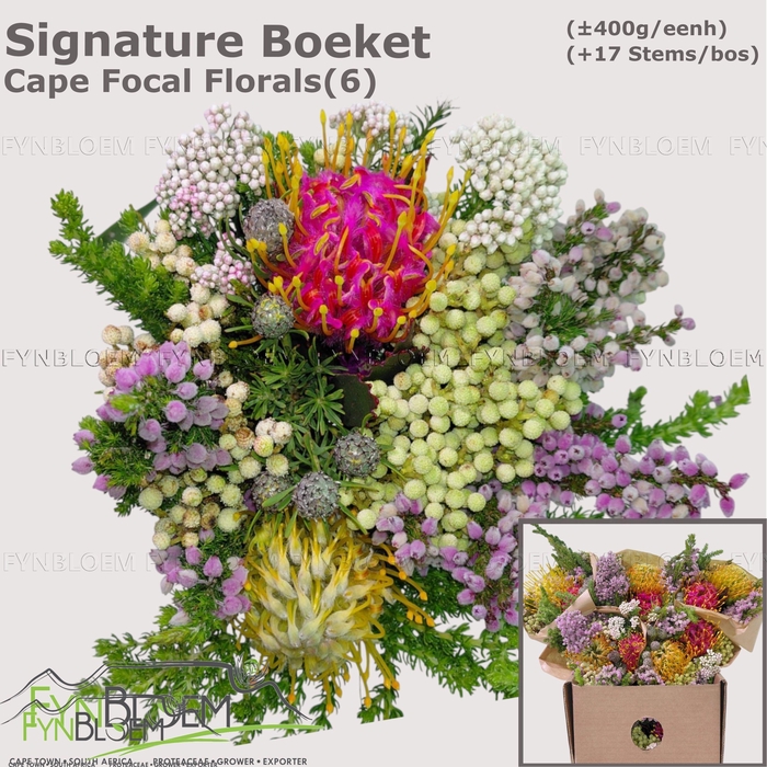 <h4>PROTEA PER BOS</h4>