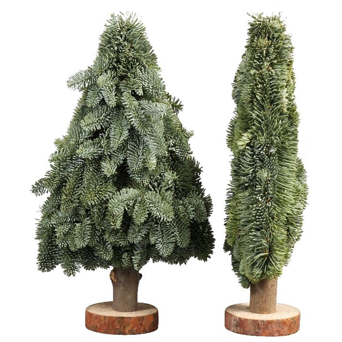 <h4>Kerstboom Plat L040</h4>